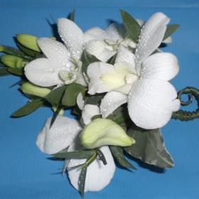 fwthumbDendrobium Corsage [640x480].jpg